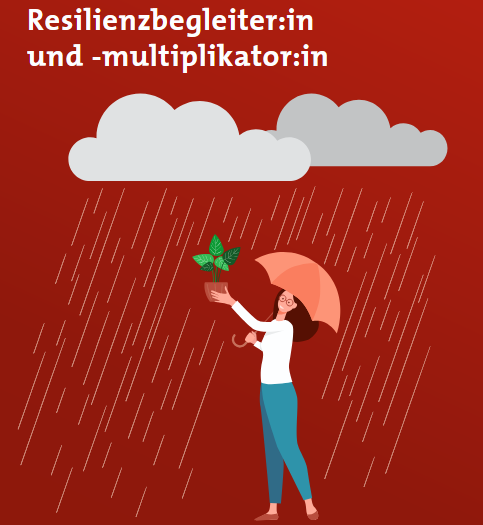 Divi_Resillienzbegleiter